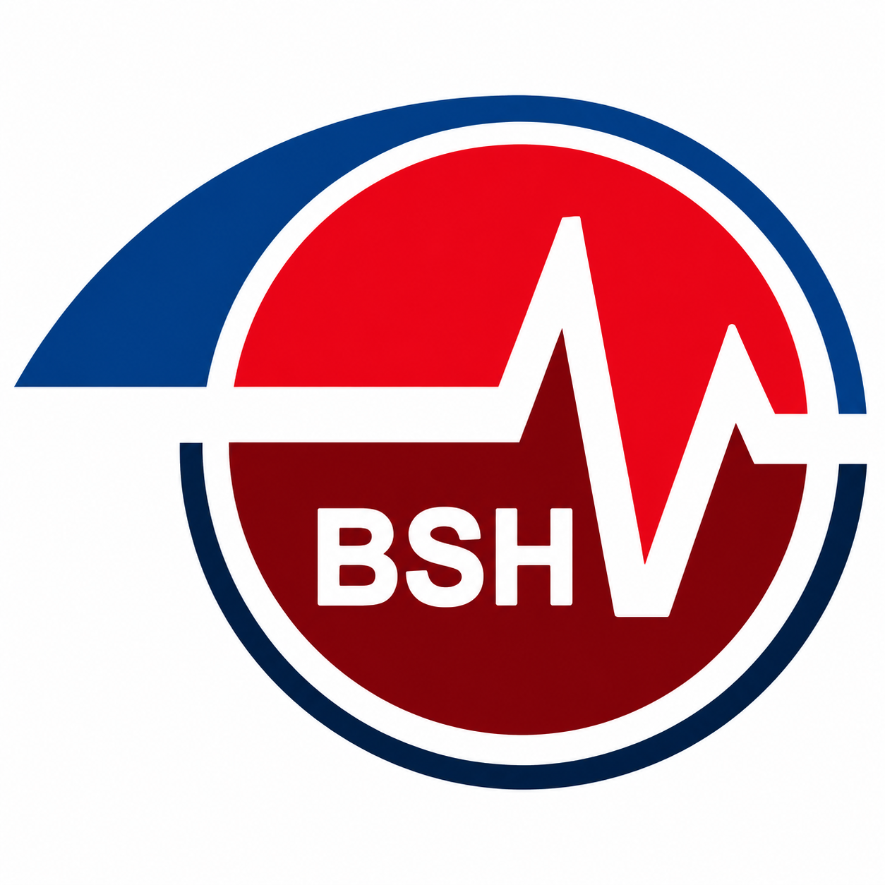 Biday Specialist Hospital logo